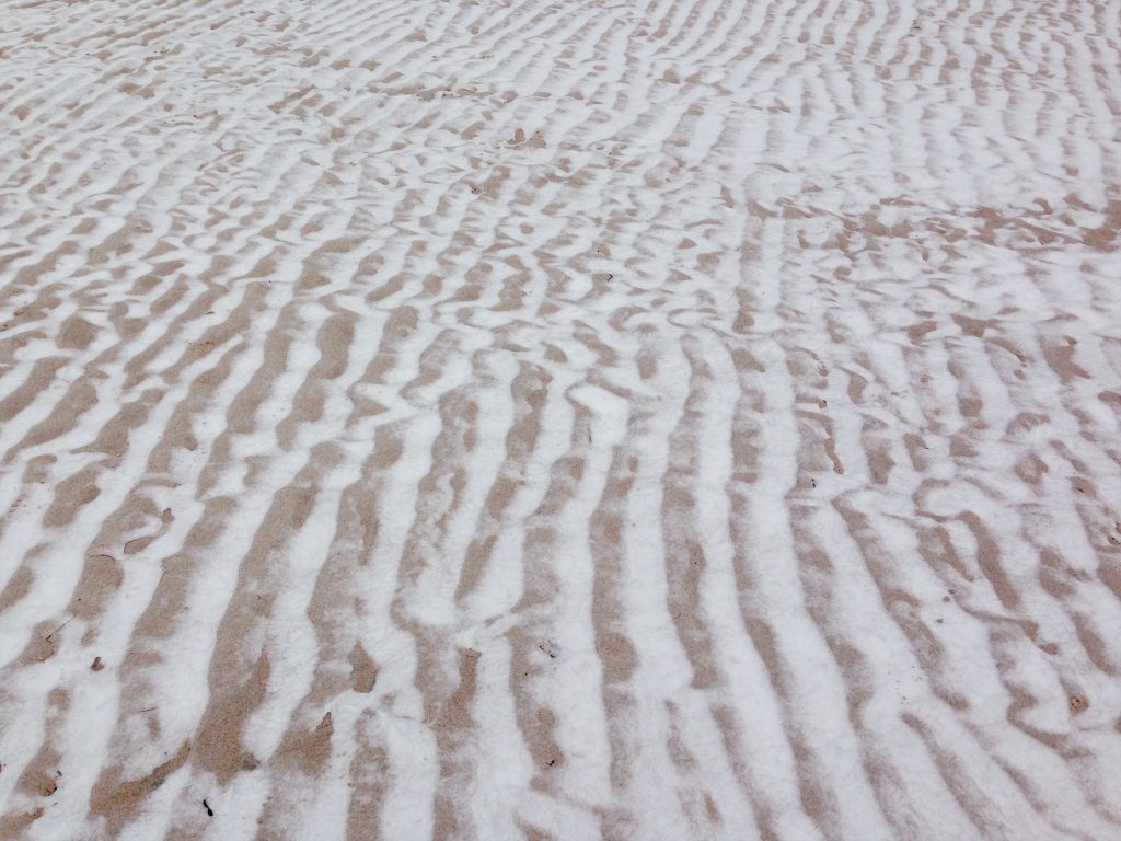 Sand ripples cut with snow